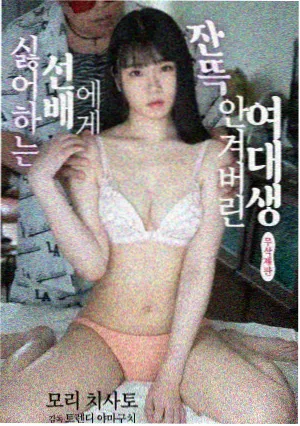 五月情网 青春剧集 盛夏光年